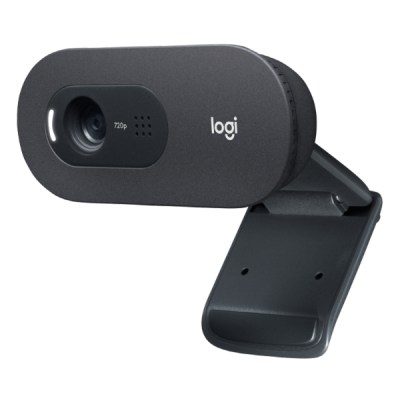 Logitech HD Webcam C505E-1